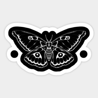 Jaguar Moth Sticker